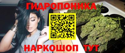 гидропоника Можга