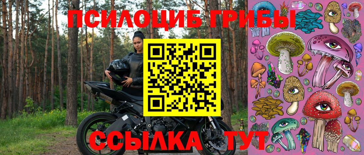 Губкинский  Псилоцибиновые грибы мухоморы  где найти наркотики  Вход с VPN 